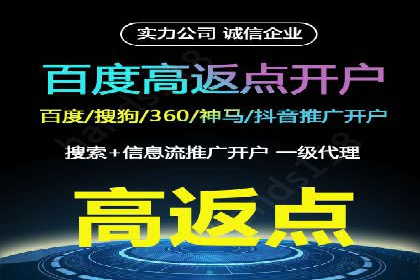 百度推广公司的成功案例：如何实现广告投资回报最大化
